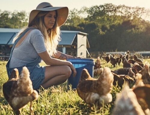 MiiMOSA : La plateforme de financement participatif dédiée à l’agriculture et l’alimentation